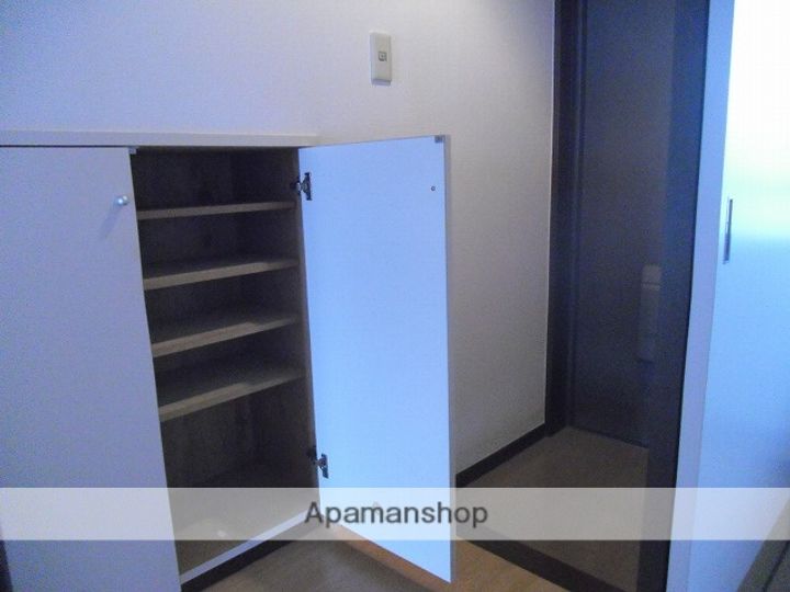 埼玉県朝霞市幸町3丁目の賃貸マンションの内装