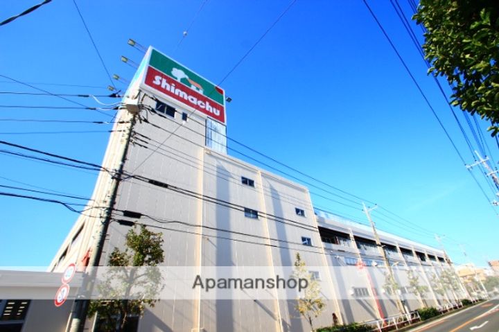 埼玉県新座市野火止5丁目の賃貸アパートの周辺