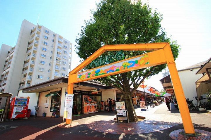 埼玉県志木市柏町6丁目(一戸建)の賃貸物件戸建ての周辺