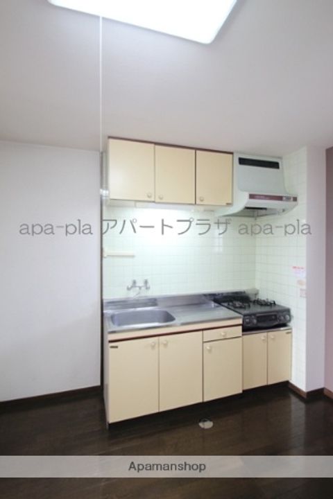 埼玉県川越市野田町1丁目の賃貸マンションのキッチン