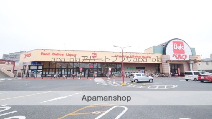 パレスゴールド川越の周辺