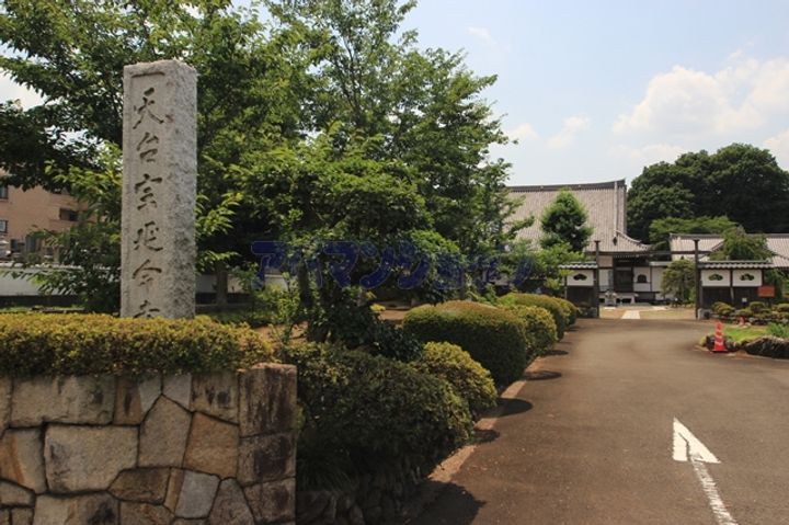 フラン・ブルームの周辺