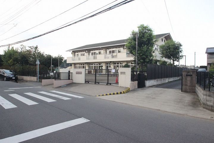 フラン・ブルームの周辺