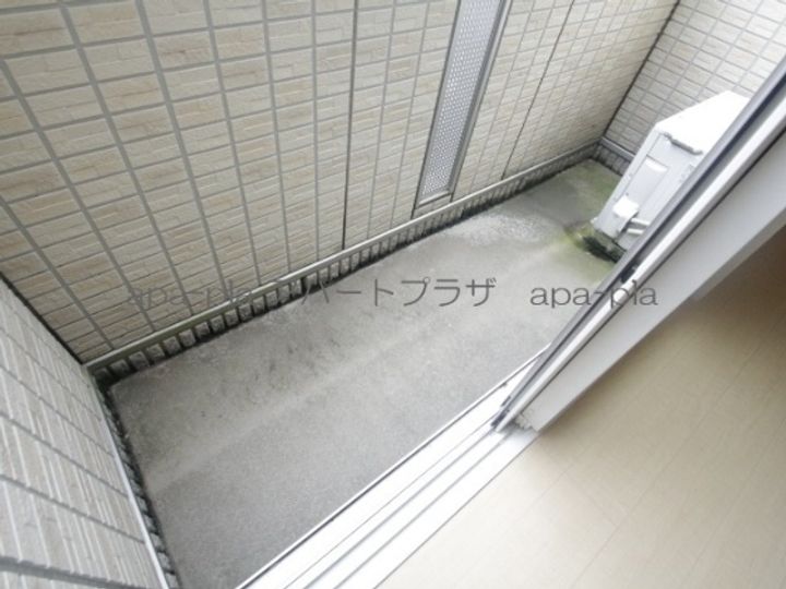 セータ サクラーレのその他画像