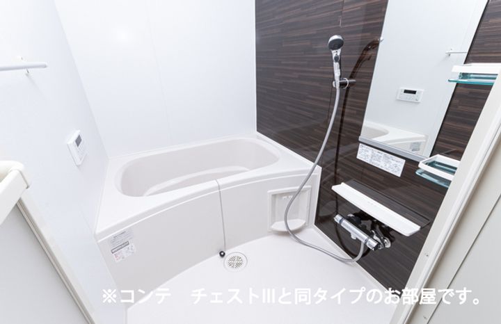 ヒカルサ川越の風呂
