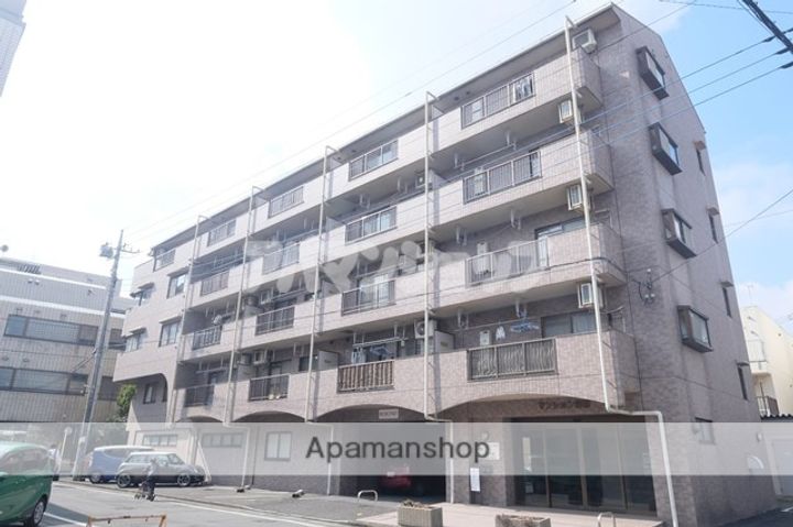 埼玉県坂戸市芦山町の賃貸マンションの外観