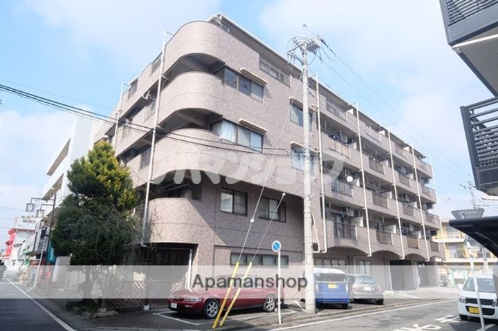 埼玉県坂戸市芦山町の賃貸マンションの外観