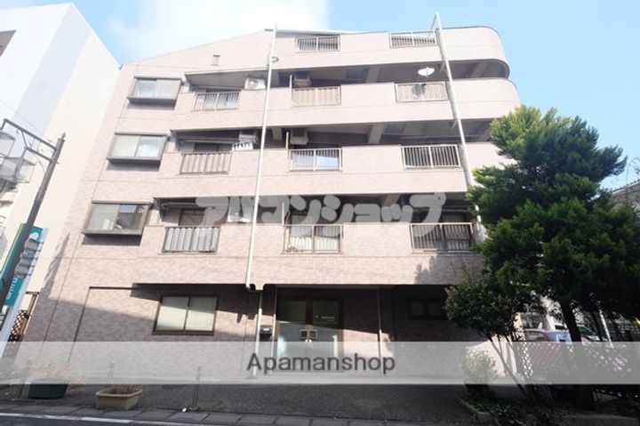 埼玉県坂戸市芦山町の賃貸マンションの外観