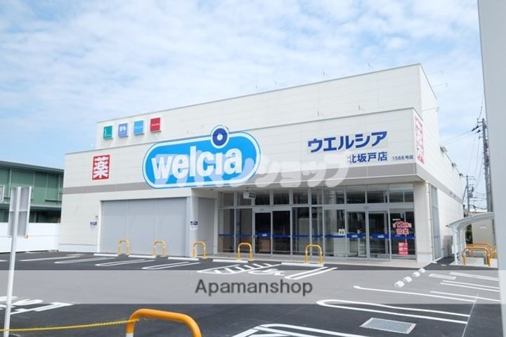 埼玉県坂戸市芦山町の賃貸マンションの周辺