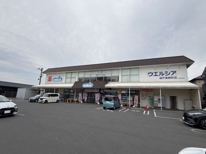 レオネクストアレグリーアIIの周辺
