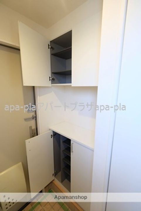 埼玉県川越市大字小ケ谷の賃貸アパートの内装