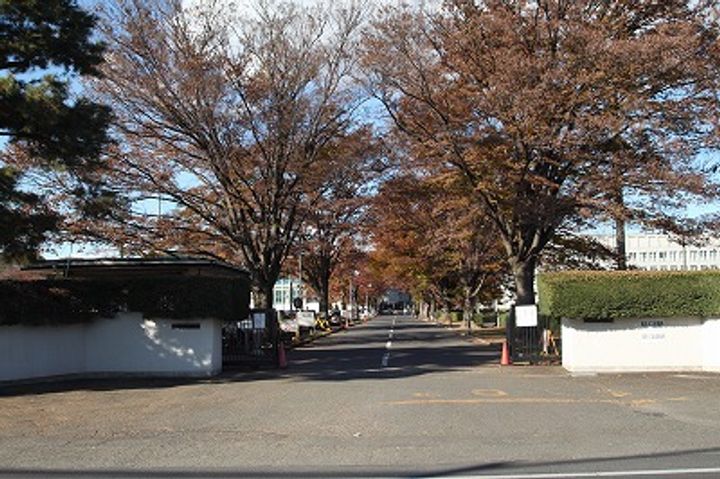 レオネクストWESTROADの周辺
