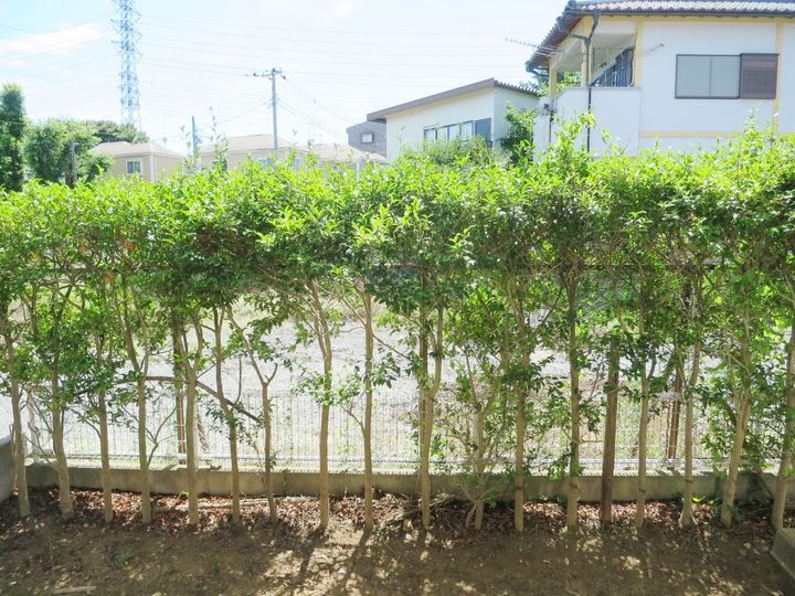 シュロス岸町のその他画像