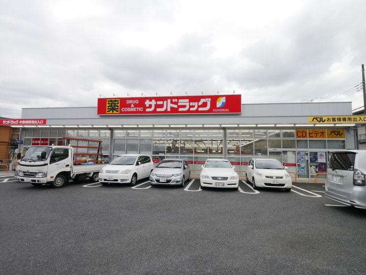 レオネクストシベールの周辺