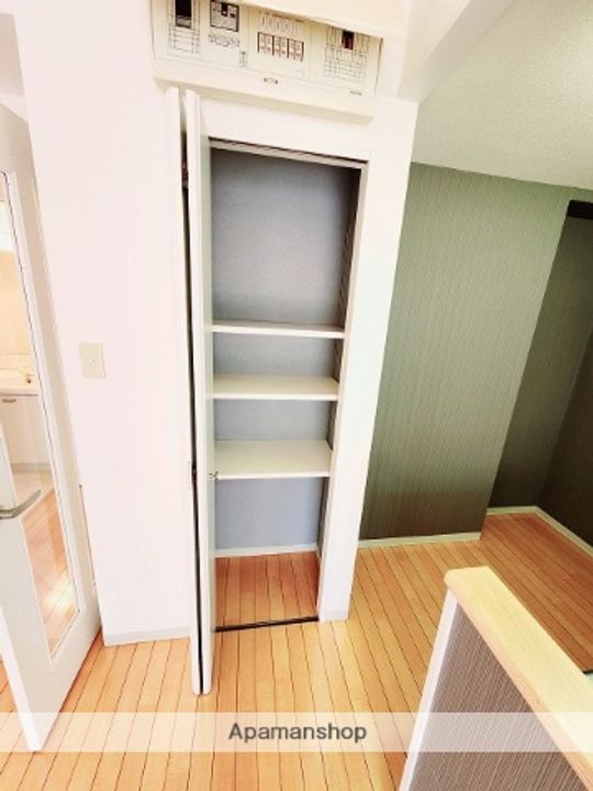 千葉県四街道市美しが丘3丁目の賃貸マンションの内装