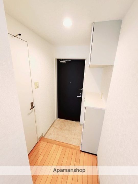 千葉県四街道市美しが丘3丁目の賃貸マンションの玄関