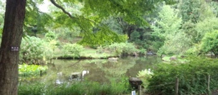 クラスターヒルの周辺