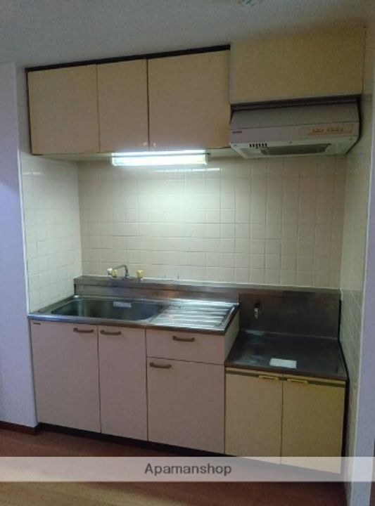 千葉県船橋市本町7丁目の賃貸マンション604のキッチン