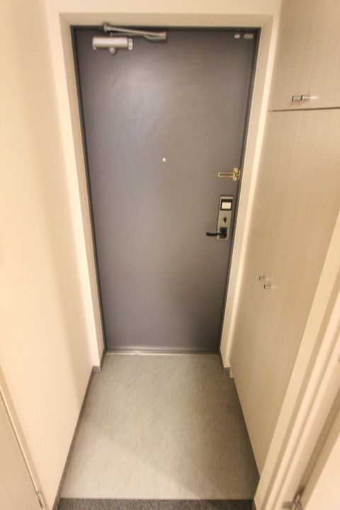 ラフレシール市川の玄関