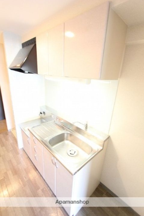 千葉県市川市国分4丁目の賃貸マンション120のキッチン