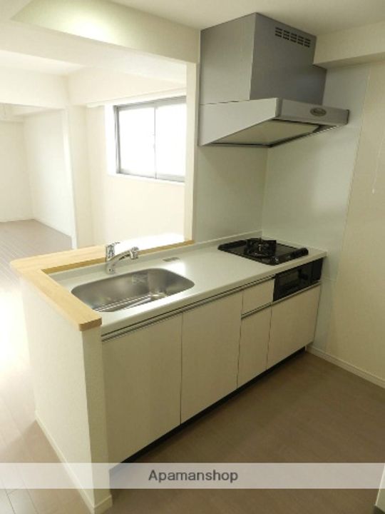 千葉県市川市南八幡4丁目の賃貸マンションのキッチン