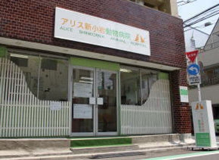 クレール・カサベルデの周辺