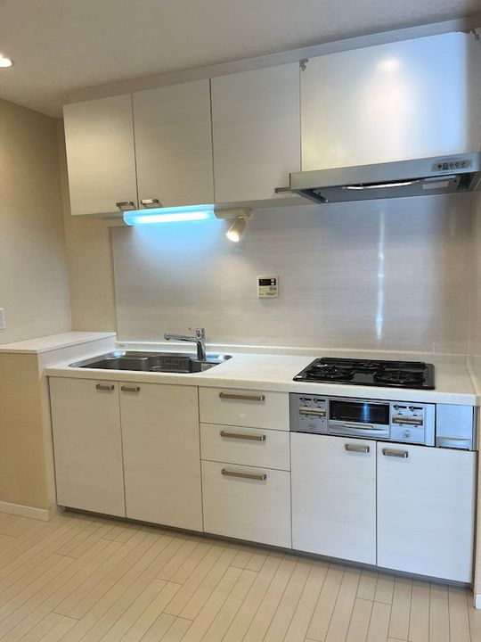 千葉県市川市欠真間2丁目の賃貸マンションのキッチン