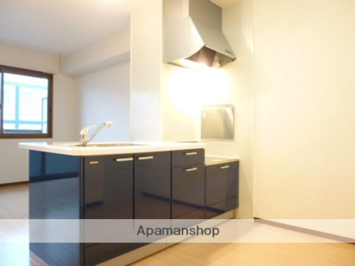リトルステージⅠ201のキッチン