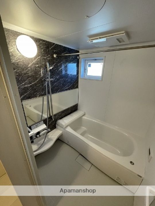 COCOSTAⅡ(ココスタⅡ)202の風呂