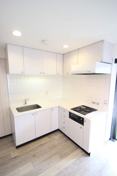 千葉県船橋市海神5丁目の賃貸マンションB304のキッチン