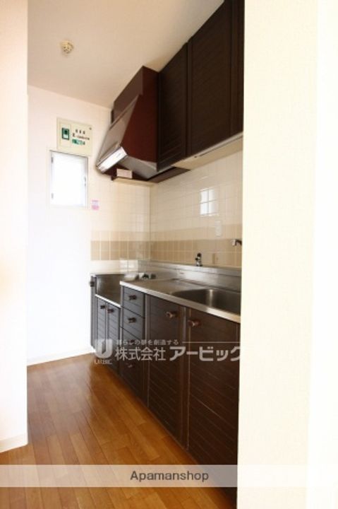 千葉県市川市平田3丁目の賃貸マンションのキッチン