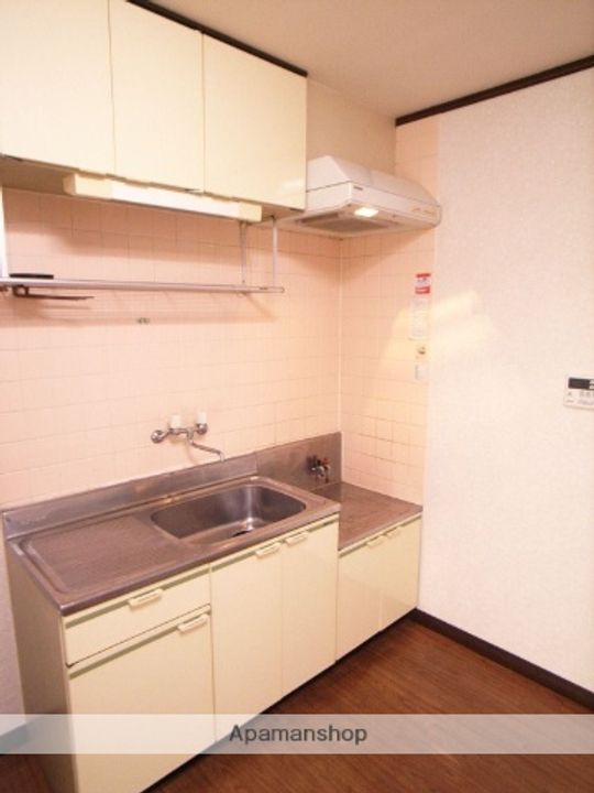 千葉県船橋市前原東3丁目の賃貸マンション102のキッチン