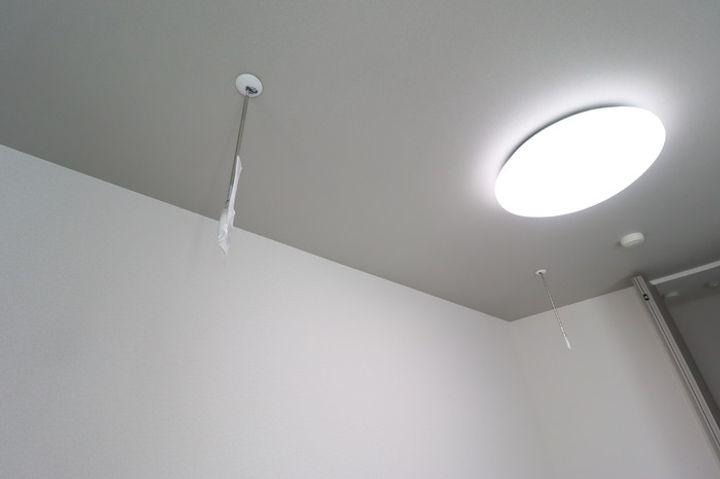 ボア・フォレットのその他画像