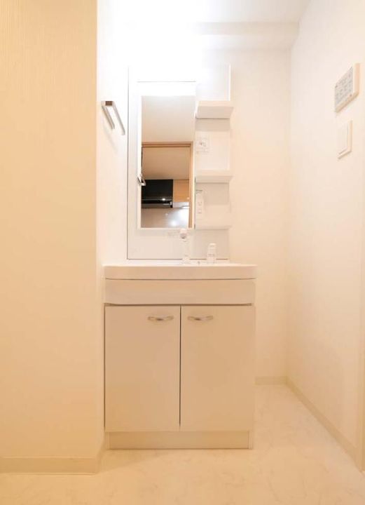 千葉県船橋市東中山2丁目の賃貸マンションの内装