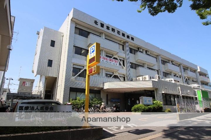 アベニューの周辺