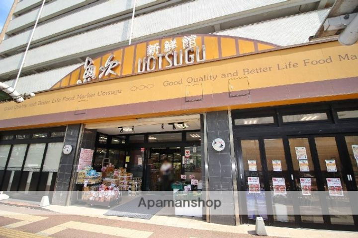 アベニューの周辺