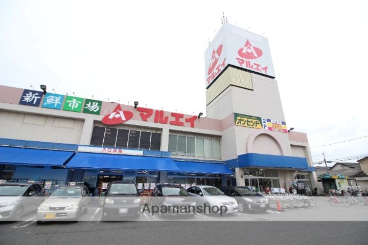 ニューエステートの周辺