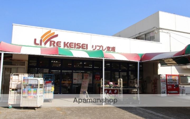 千葉県船橋市南三咲1丁目(一戸建)の賃貸物件の周辺