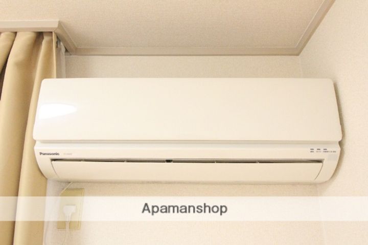プティパピヨンのその他画像