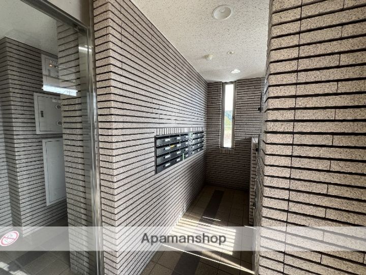 アミリスのその他画像