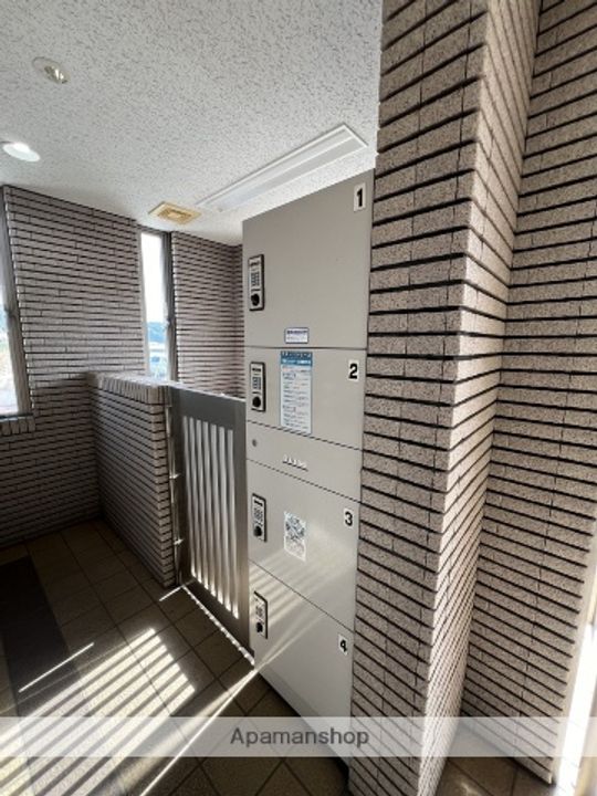 アミリスのその他画像