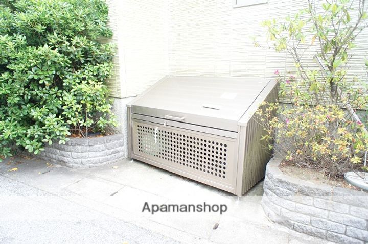 アンゼリカのその他画像