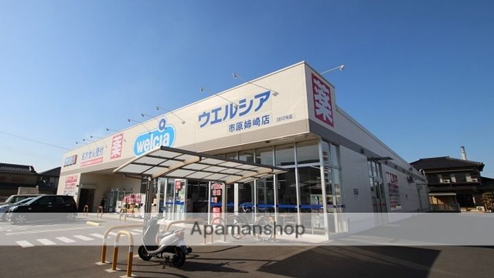 ファシナシオンの周辺