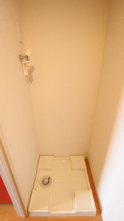 リブリ・パーシモンのその他画像