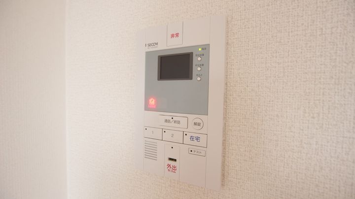 リブリ・パーシモンのその他画像