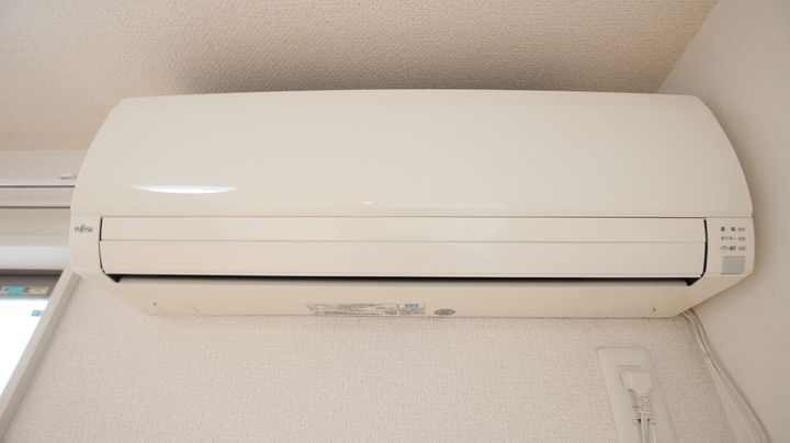 リブリ・パーシモンのその他画像