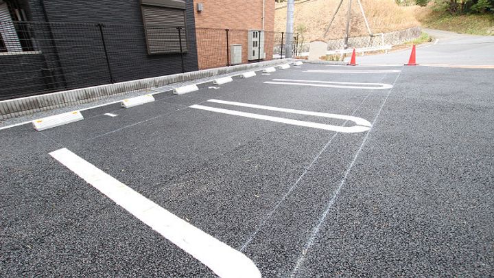 バイリンのその他画像