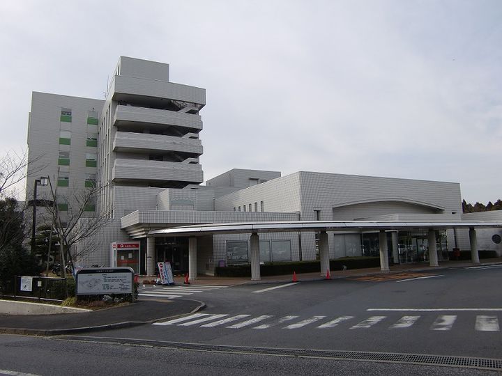 フェリスの周辺