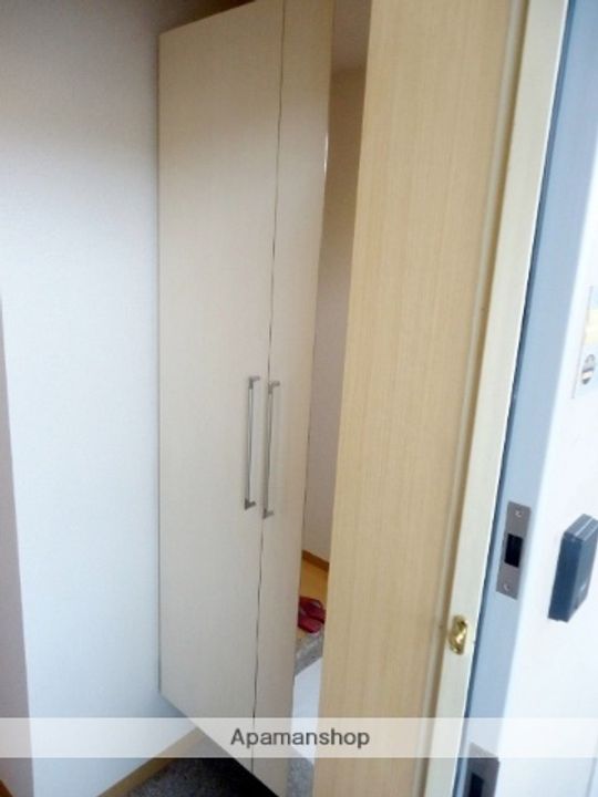 千葉県千葉市緑区おゆみ野南2丁目の賃貸マンションの内装
