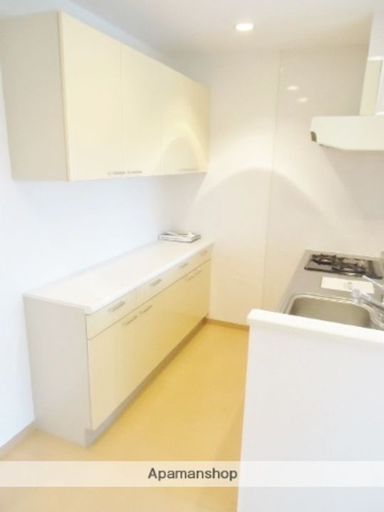 千葉県千葉市緑区おゆみ野南2丁目の賃貸マンションの内装